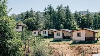Deeptrip Savaya Tribe Connection