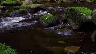 Creek Sound 🏞️ For Short Power Sleeping | Relax & Meditation 🧘