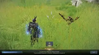 Lost Ark - Solo - Ep 1236 - Meadowkeeper's Riddle What Position