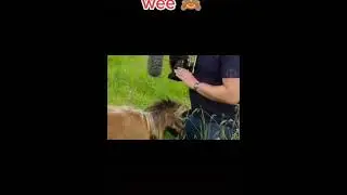 #moment #wee #fanny #foruyou