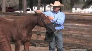 Rob Leach - Feeding with Nose Bags
