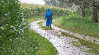 Best relax sound rain | Relaxing, Ambience