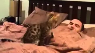 Мужик, ты кто