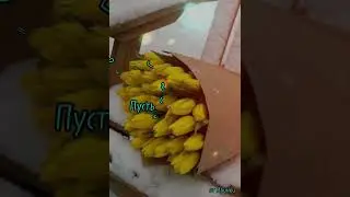 🤗Жизнь - она похожа так на женщину...