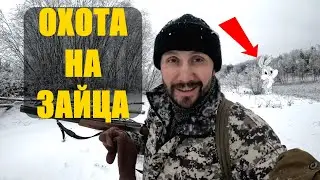 ОХОТА НА ЗАЙЦА С ГОНЧЕЙ. GPS ошейник Amazin Locator.
