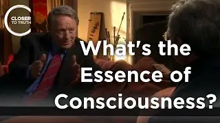 Henry Stapp - What's the Essence of Consciousness?