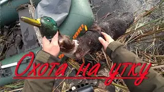 No. 97 Thousands of ducks and geese! Not enough ammo. Duck hunting without disguise.