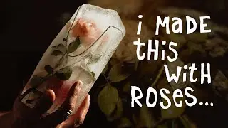 How To Roses