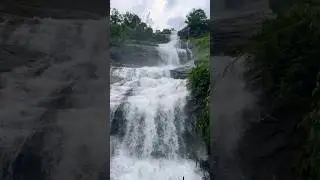View & Vibe ❤️ #travel #nature #waterfall #relaxing #shorts