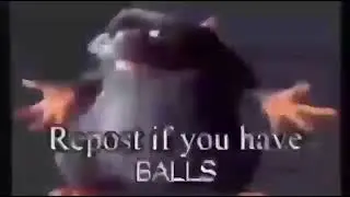 repost if u have BALLS