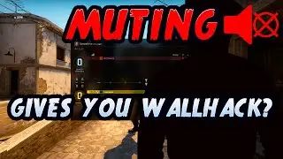 CSGO: Wallhack by Muting Players?! (New Bug!)