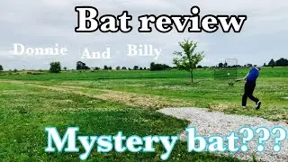 Bat Review Mystery Bat?