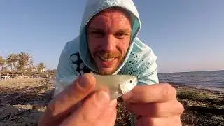 Рыбалка в Тунисе. Поимка Дорадо или Махи-Махи