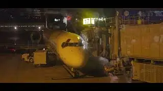 Going to honolulu