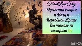 ОН СХОДИЛ К МАГУ И К ВЕРХОВНОЙ ЖРИЦЕ… ВЫ ТАКОГО ТОЧНО НЕ ОЖИДАЛИ 🐈‍⬛ 