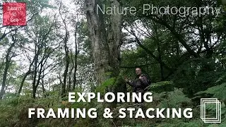 Nature Photography | Composition Tips and Focus Stacking