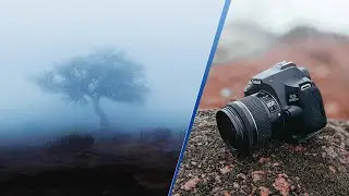 Calming FOG Nature Photography with Canon 200d mark ii