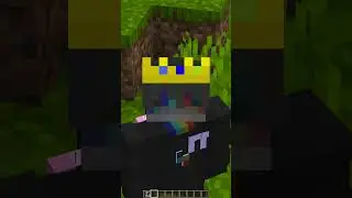Minecraft Funny Mic Moments