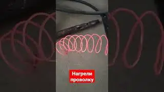 Проволка 👍🔥 #top #лошади #sports #fyp