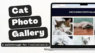 Learn CSS Flexbox by Building a Photo Gallery - freeCodeCamp Legacy Responsive Web Design V8 Guide