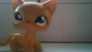 Мои Новинки:3