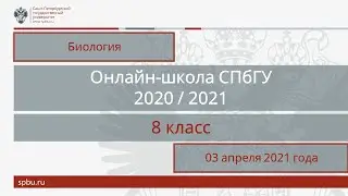 Онлайн-школа СПбГУ 2020/2021. 8 класс. Биология. 03 апреля 2021