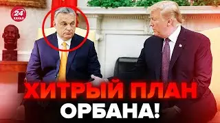 ⚡Уже сегодня! СРОЧНАЯ встреча Орбана и Трампа из-за Украины: чего ожидать?