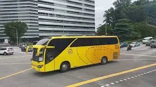 Singapore- bus tour