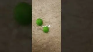 I wished too hard