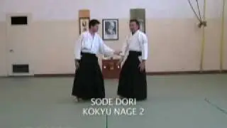 Traditional aikido sandan level Taijutsu techniques PART 2