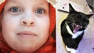 Истории про котиков. Основные моменты / Лизушкины питомцы