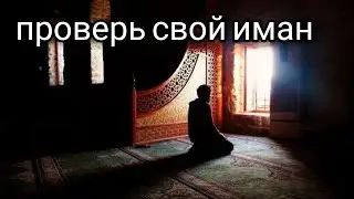 Термометр Имана...!