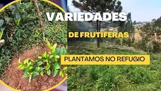 As Plantas Do Refúgio