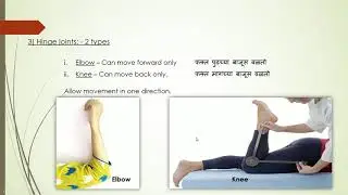 Joint, Muscles and Their Movement I ITI Trade
