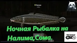 Русская Рыбалка 4. Р. Вьюнок. Ловим крупного Налима,Леща. Точка для ловли Сома.