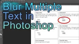 Blurring Text with Photoshop in PDF or Photo to Obfuscate Private Personal info License Plates HIPPA