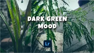 | How To Achieve Dark Green Look On Your Photos | Dark Green Mood Pt2