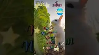 Год Кролика -2023 