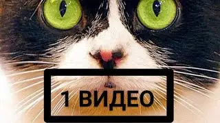 Самое первое видео Сливки Шоу / Trailер boкс