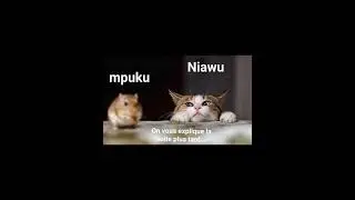 Nomes de animais em LINGALA (Congo)