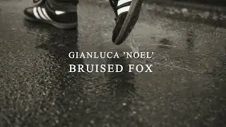 Gianluca 'Noel' - Bruised Fox - Video Musicale