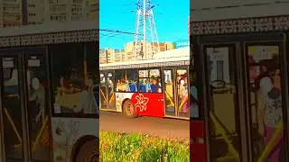 Новый автобус волгабас на 24с маршруте