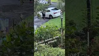 Amazon delivery driver chooses yard over driveway @amazon #fail #amazon #baddrivers #drivingfails