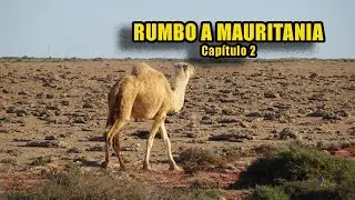 Rumbo a Mauritania. Capítulo 2
