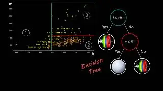 Decision Trees