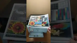 Проверка лазерного цветного МФУ Samsung CLX-3305W. Химки.