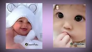 kumpulan bayi lucu