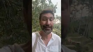 Стадия рецидива совпадает со стадией первоначального заболевания?