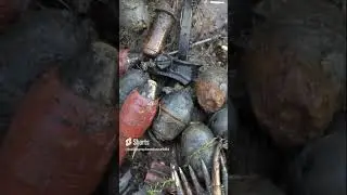 We got weapons, grenades, cartridges from the swamp #weapon #grenades #cartridges
