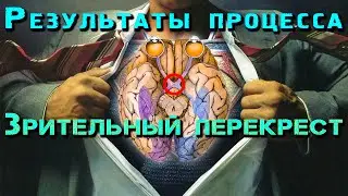 Результаты процесса на Зрительный перекрест